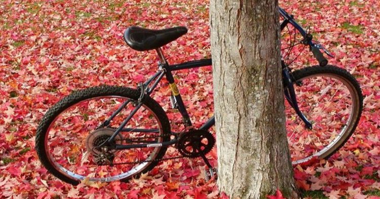 Foto titulada Autumn in Ashland, Pensilvania, basykes (Foter)