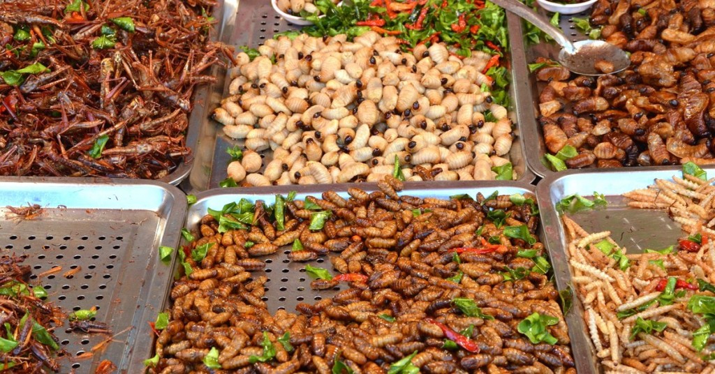 Sigue leyendo 5 lugares del mundo donde se come insectos