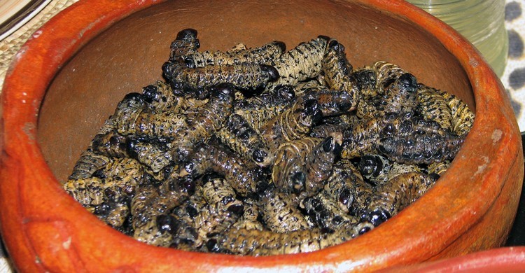 3. Sur de África