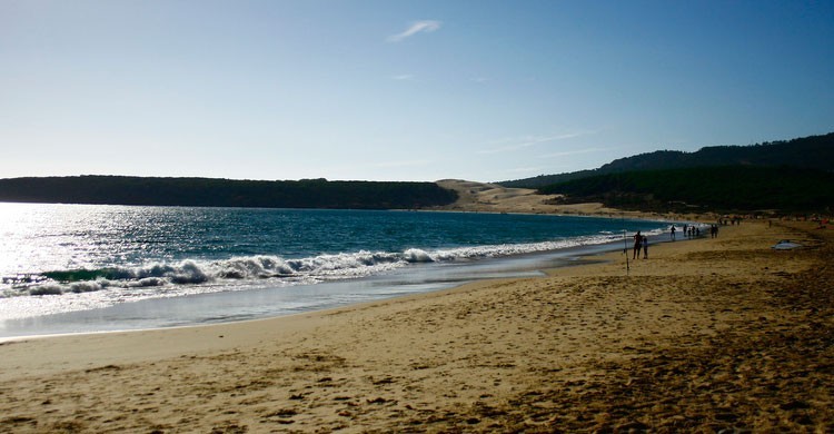 Playa de Bolonia (Cádiz) (Fuente: Flickr)