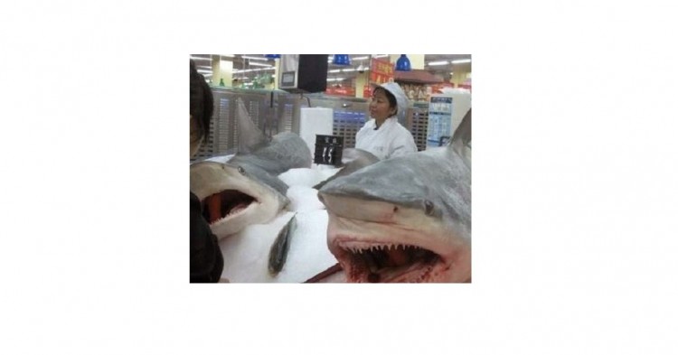 Supermercado chino vende cabezas de tiburón. (Google).