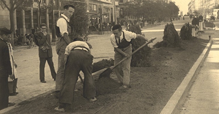 Imagen antigua de unos operarios plantando árboles en la mediana de la calle. Teresa Avellanosa (Flickr).