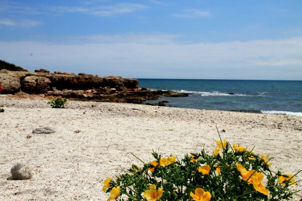 Costa de Azahar