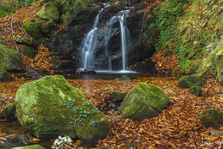 Parque Natural de Gorbea, Vizcaya (Sergio Nevado, Flickr)