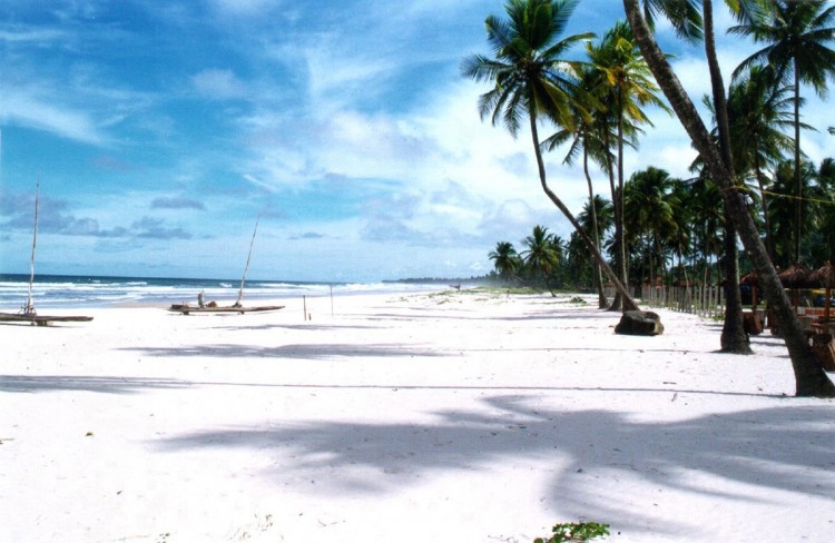 Bahia, Brasil (Carlos Luz, Flickr)