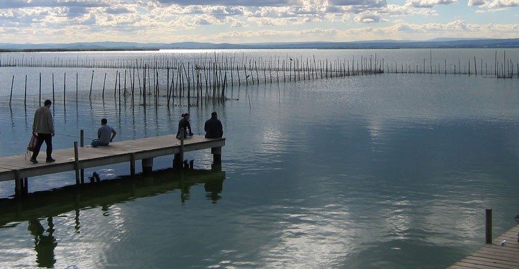 Parque Natural de La Albufera, Valencia (Flickr)