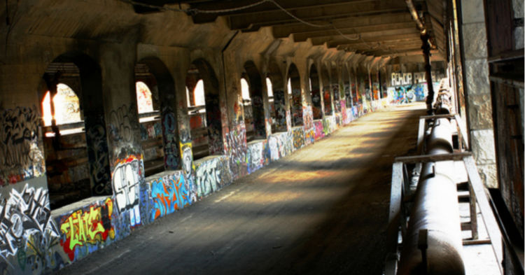 Imagen de la galería