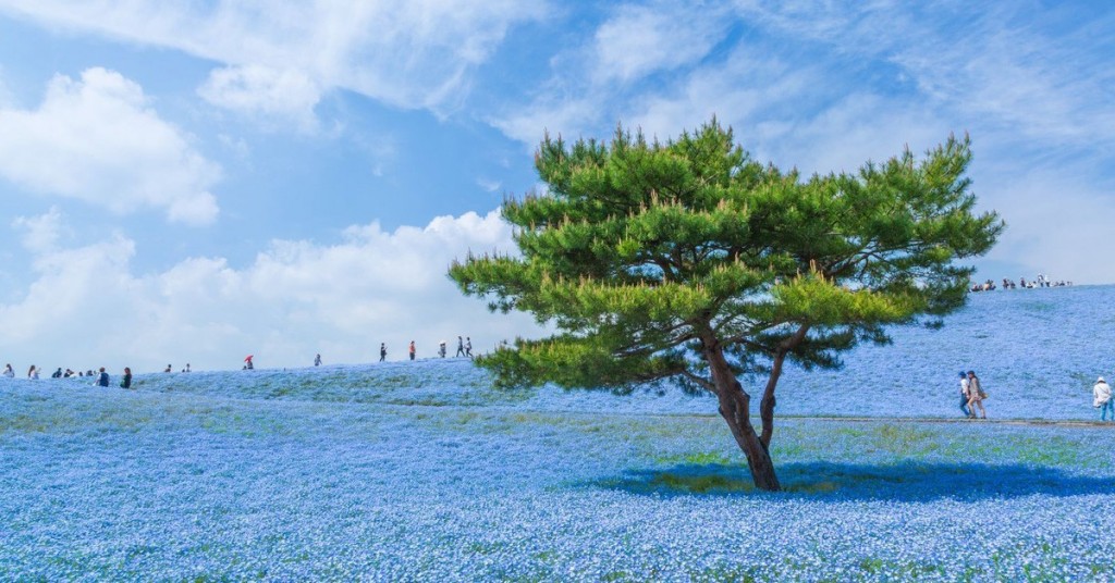 “El universo azul”, de Hiroki Kondo (National Geographic Photo Contest 2015)