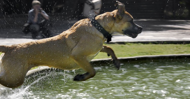 Montjuic, Barcelona (Flickr)