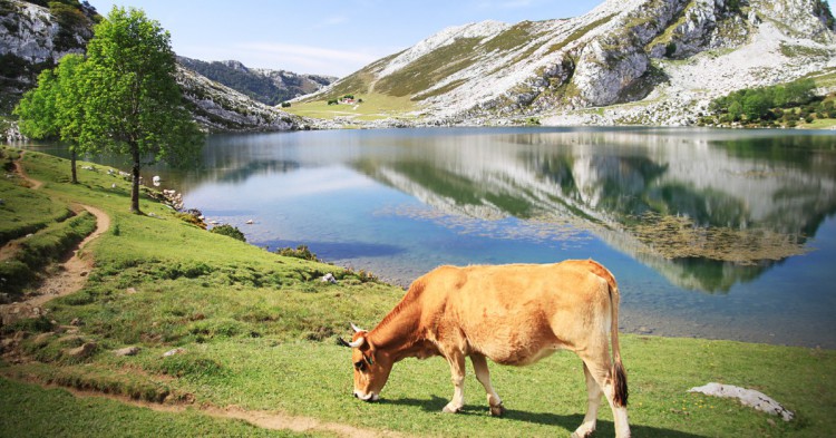 Asturias en pareja desde 32€