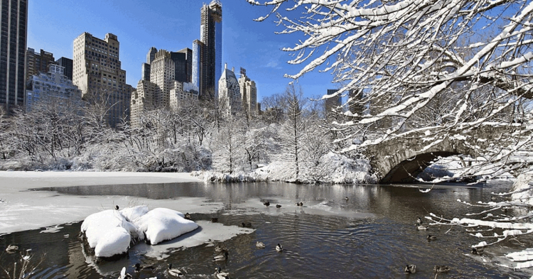 Nueva York (pixbay - dominio público)