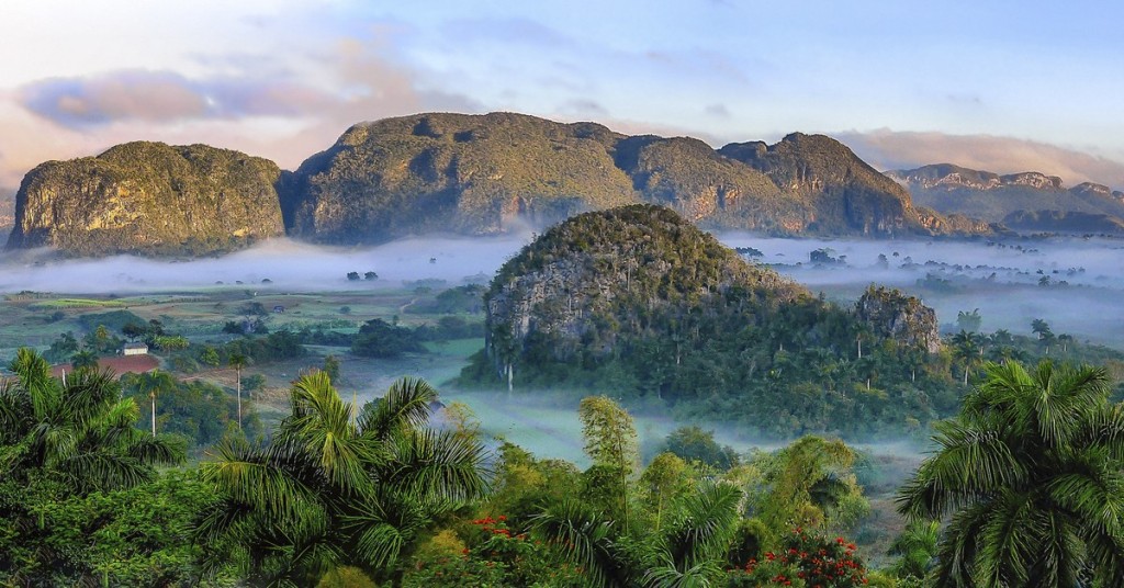 Hungry water for paradise. Simon Matzinger, Flickr