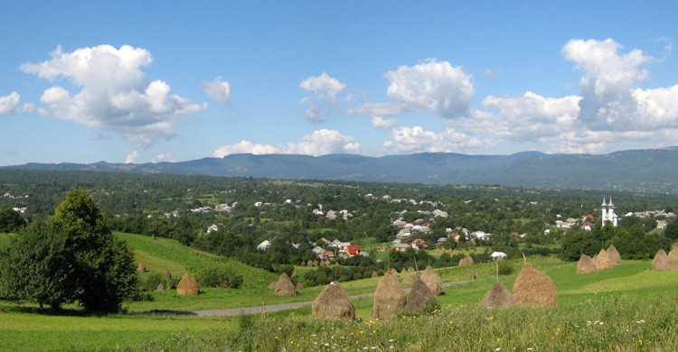 Breb (Basil y Tracy Brooks)