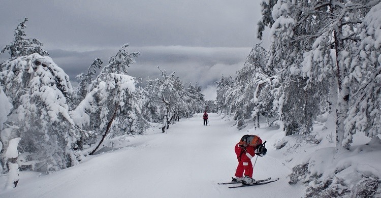 Pista de esquí en Manzaneda. Antonio Tedim (Flickr)