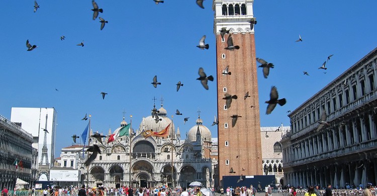 Plaza de San Marcos (iStock)