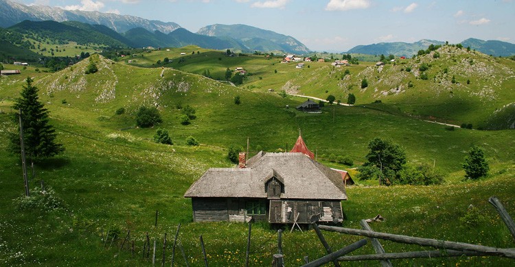 Sirnea (wikimedia.org)