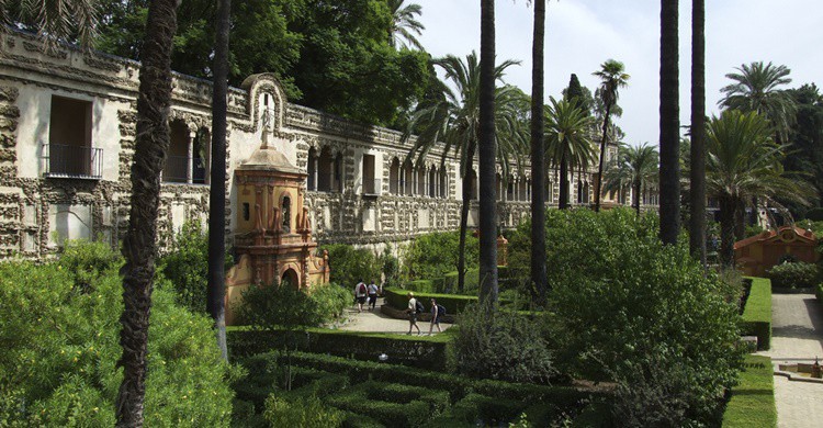 Jardines en los Reales Alcázares. Olaf Bierganns (Flickr)