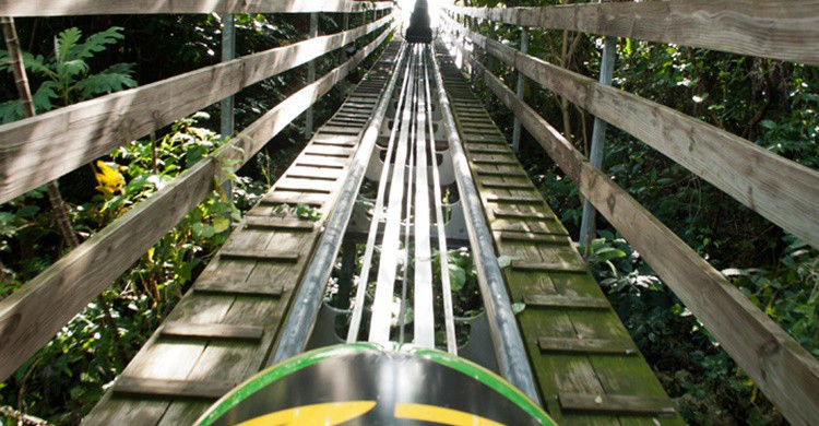 El bobsleigh jamaicano. Chris Short (Flickr)