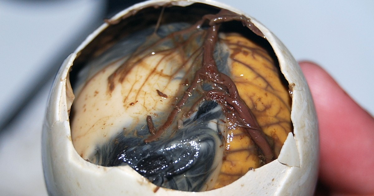 Balut. Caryl Joan Estrosas, Foter