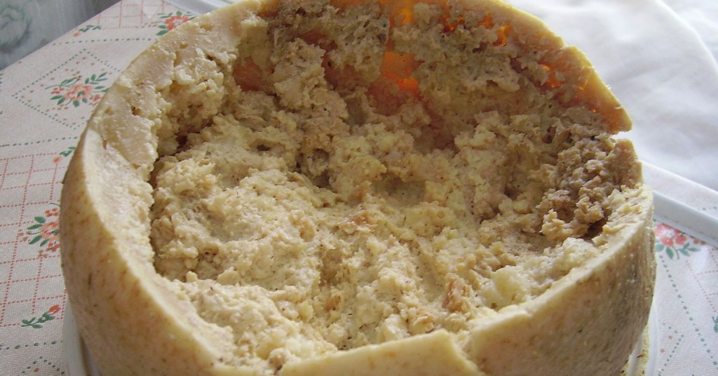 Casu Marzu. Shardan, wikipedia