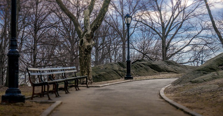 Sendero en Central Park. Eric K Gross, Foter