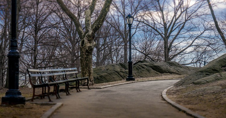 Sendero en Central Park. Eric K Gross, Foter