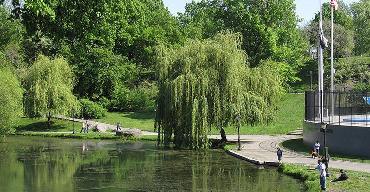 ¿Sabías que puedes pescar en Central Park? ( InSapphoWeTrust, Foter)