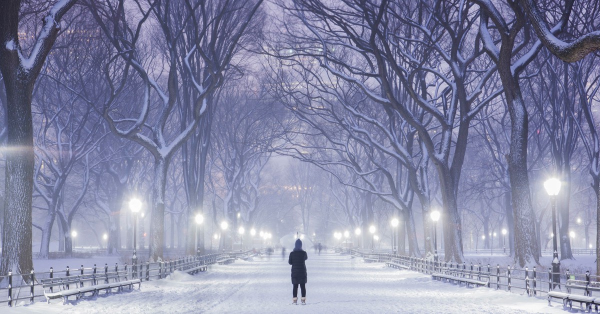 Las 10 curiosidades más fascinantes de Central Park
