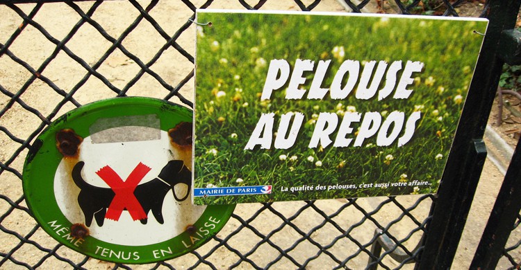 Pelouse au repos. Michela Simoncini, Foter