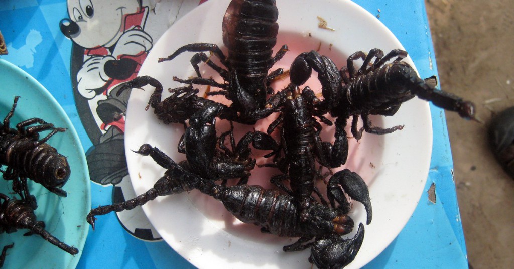Plato de escorpiones. Ben Stephenson, Foter