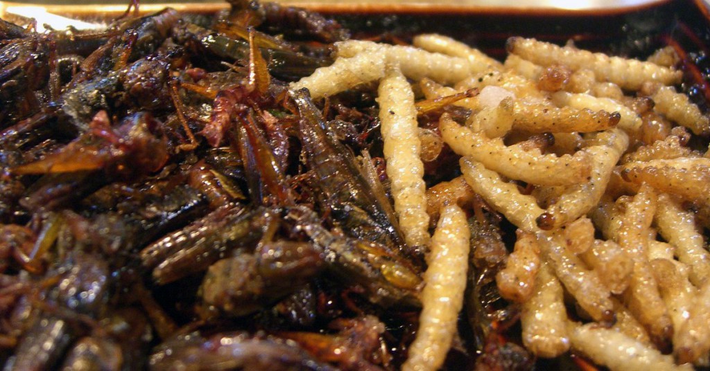 Gusanos de bambú (y saltamontes fritos). Alpha, Flickr
