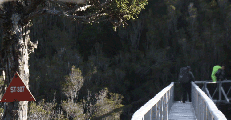 Parque Tantauco (parquetantauco.cl)