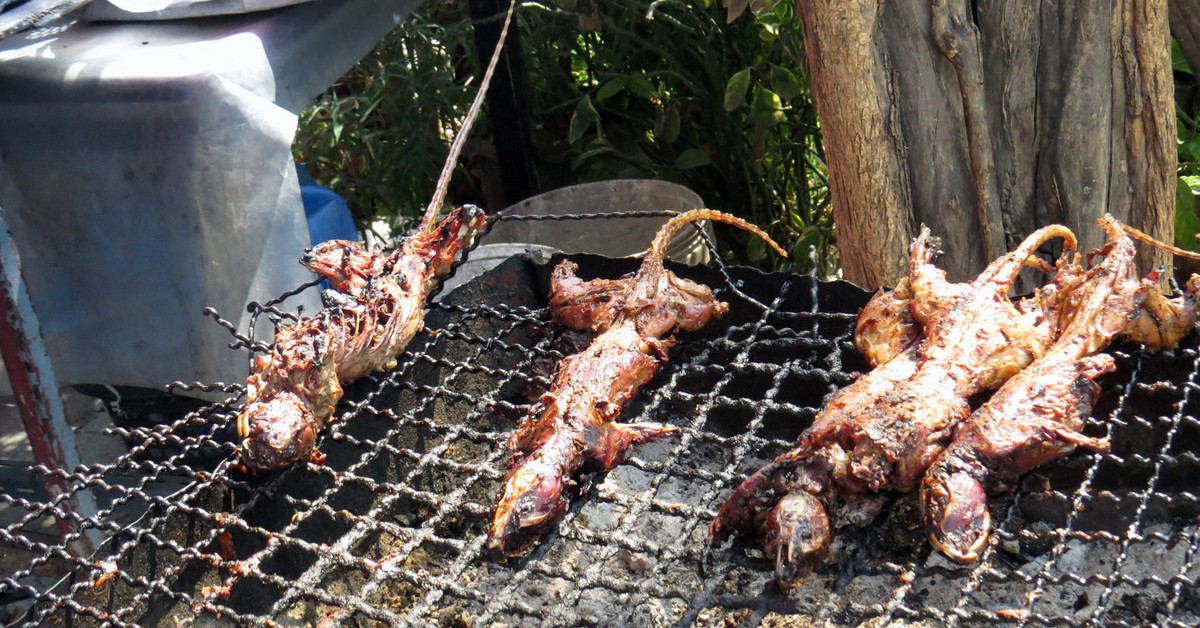 Ratas a la parrilla. Kthypryn, Foter