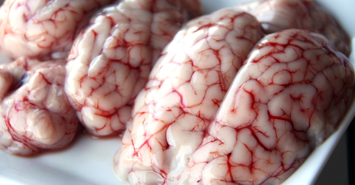 Sesos de cordero. Jlastras, Foter