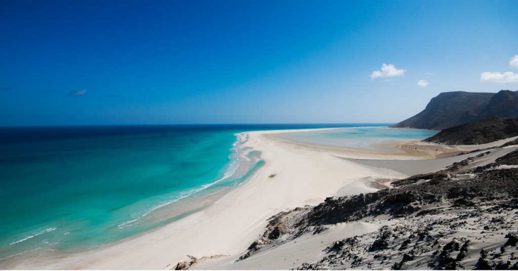 Sigue leyendo Socotra, la isla de las especies perdidas
