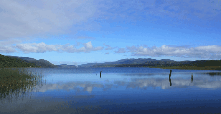 Parque Nacional Chiloé - Lago Cucao (https://www.flickr.com/photos/8835892@N04/)