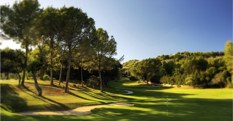 Campo Arabella Golf Son Vida. (http://www.sonvidagolf.com)