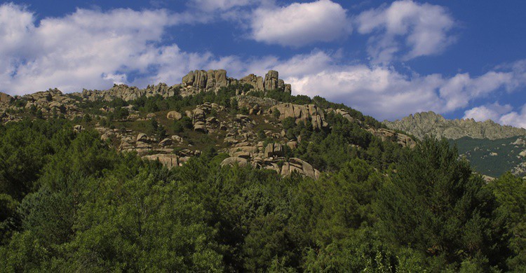Imagen general de La Pedriza. jacinta lluch valero (Flickr)