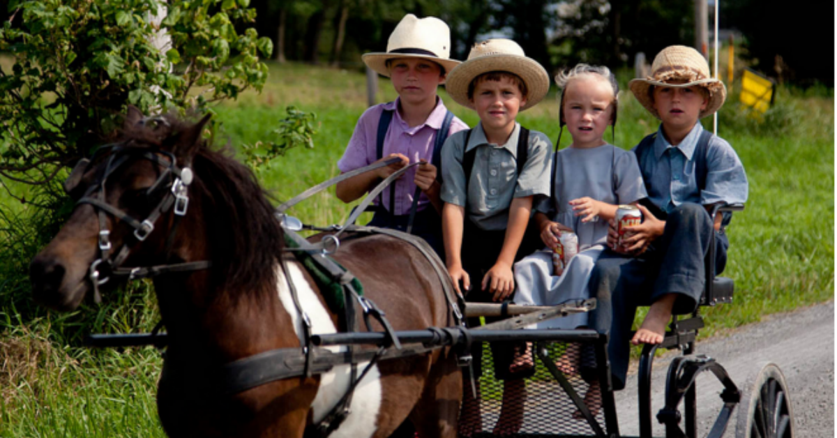 Amish - Alvin Trusty (Flickr)