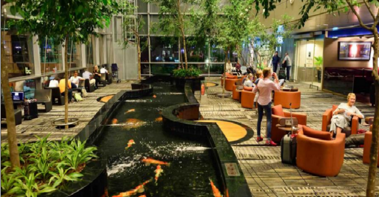 Changi - Sorbis (Shutterstock)