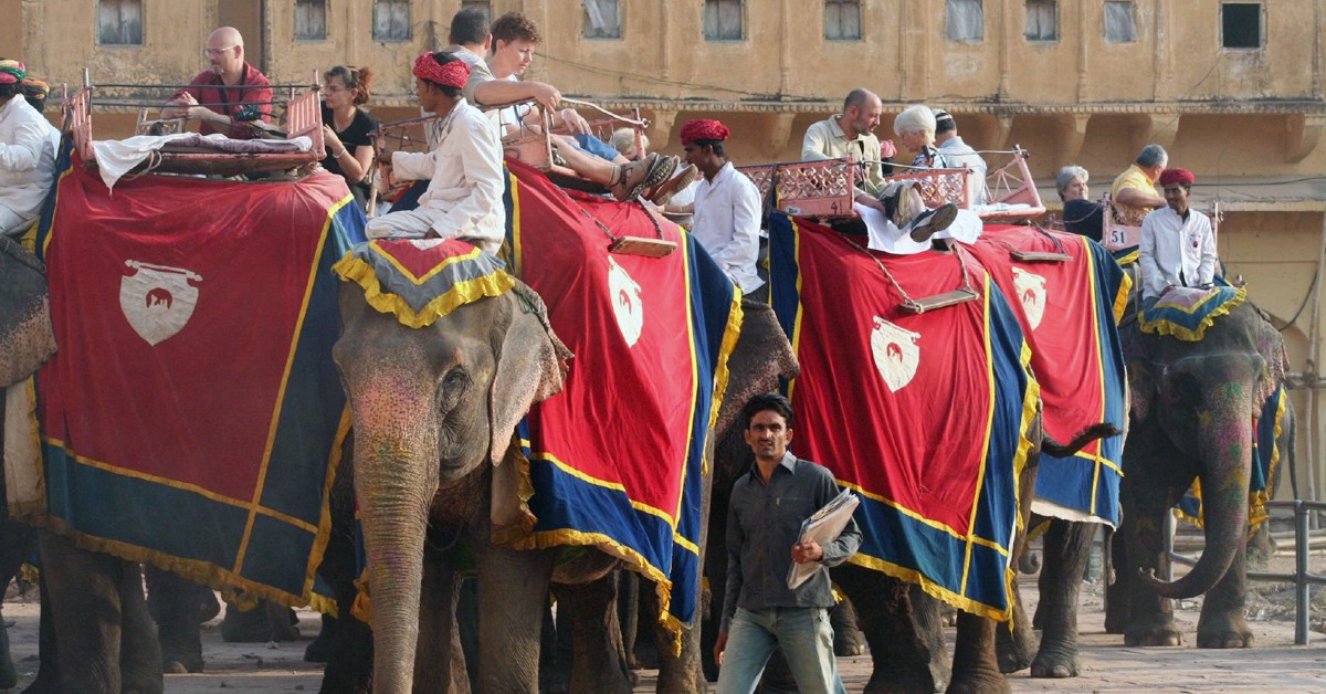 Turistas y elefantes en Amber Fort, Jaipur. foxypar4, Foter