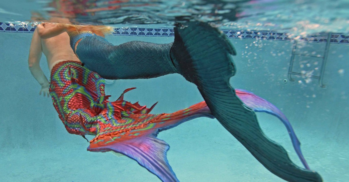 NC Merfest LLC. Merman ChristoMer, Facebook