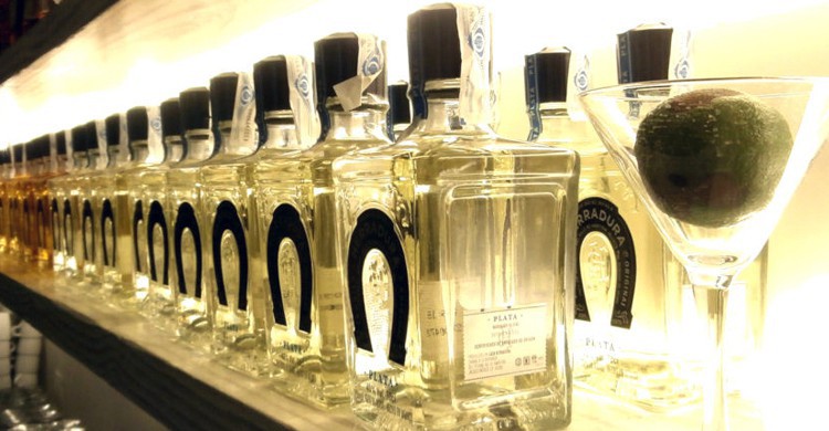 Expositor de tequilas. La Taquería del Alamillo