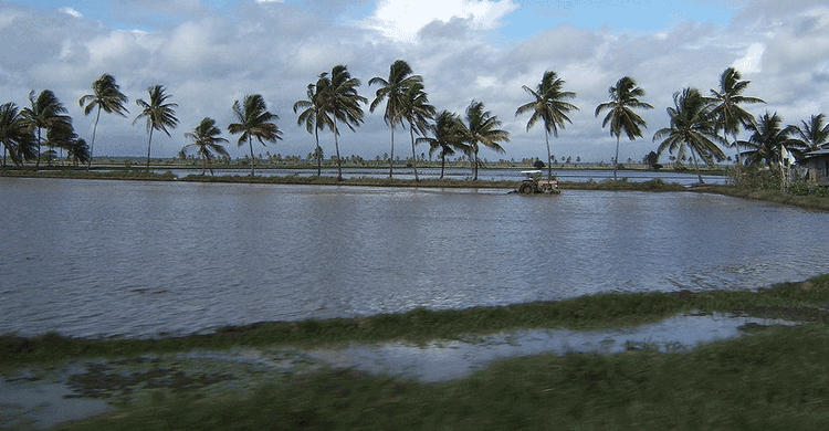 4. Guayana Francesa