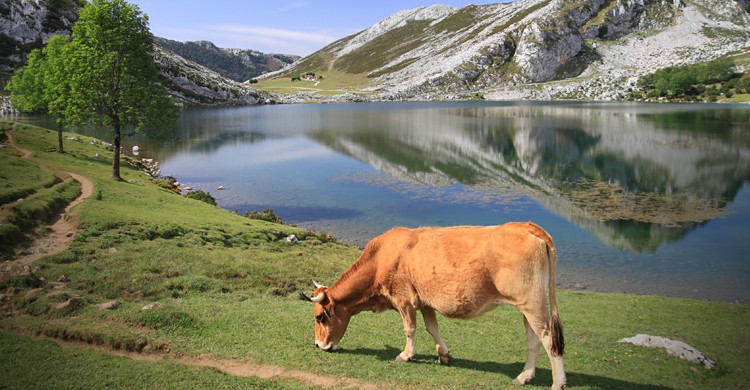 Lago Enol (iStock)