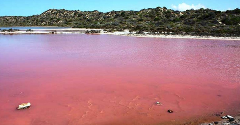 Lago Retba, Senegal (Fuente: upsocl.com)