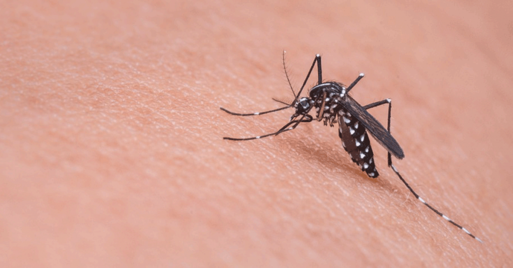 Sigue leyendo Los 14 lugares donde debes tener cuidado del virus Zika