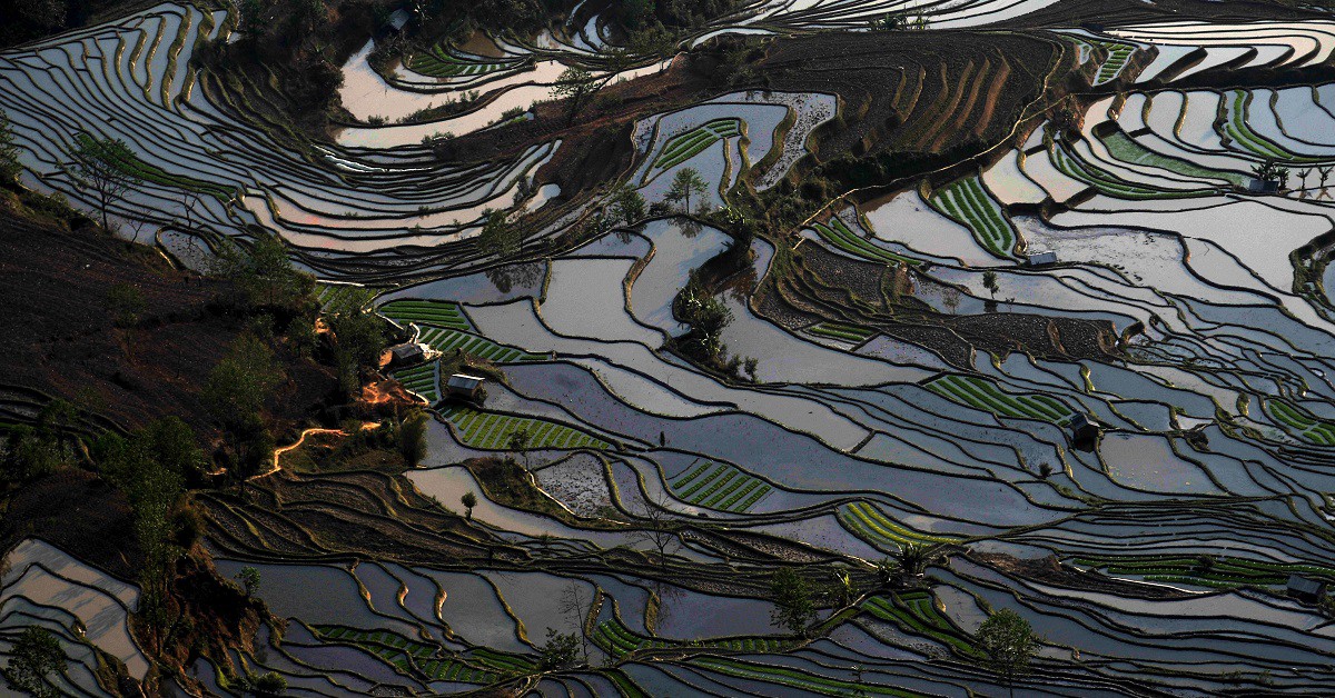 Terrazas de arroz de Yuanyang – China