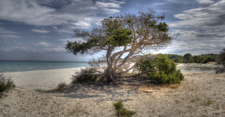 Oasis de Bidderosa. Matteo Castaldo (Flickr)