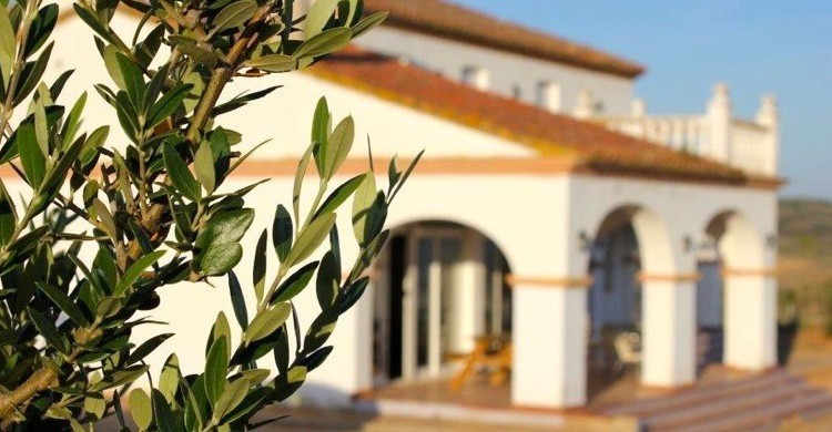 Vivienda del cortijo tras un olivo. (www.cortijolostomillares.com)